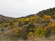 Theodore Roosevelt NP