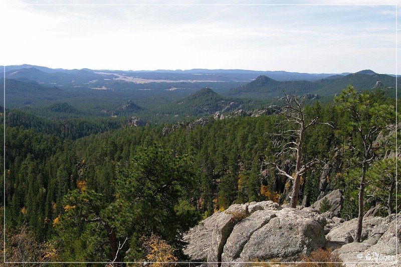 needles_highway_09.jpg