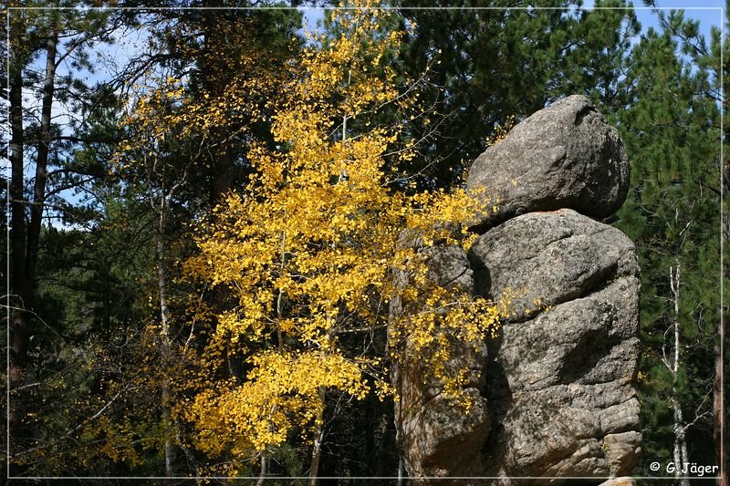 needles_highway_12.jpg