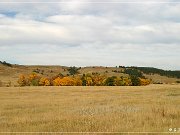 needles_highway_01