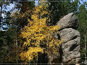 needles_highway_12