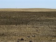 Badland NP