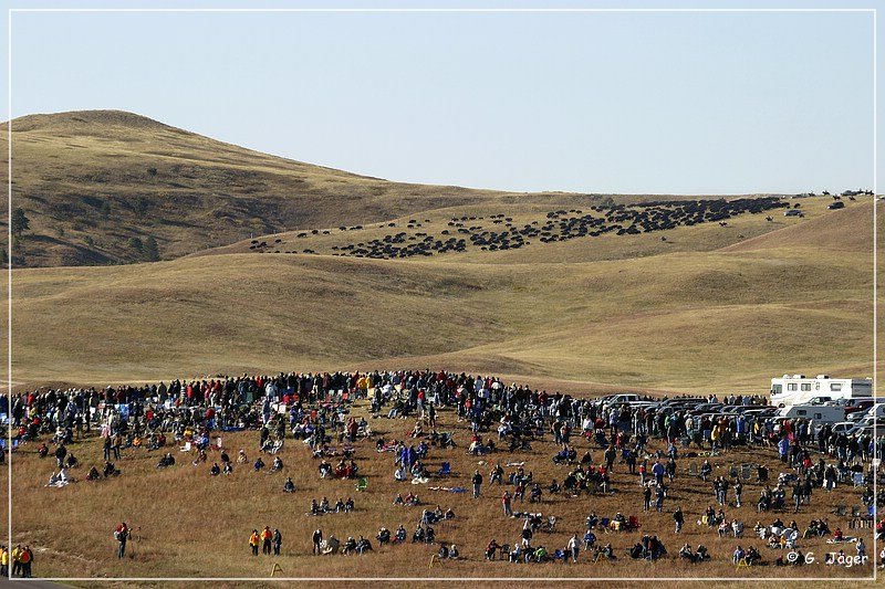 custer_buffalo_roundup_005.jpg