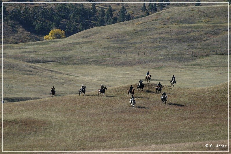 custer_buffalo_roundup_012.jpg