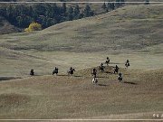 custer_buffalo_roundup_012