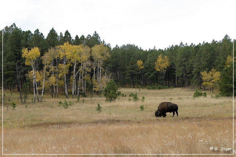 custer_sp_24.jpg