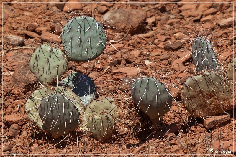 caprock_canyon_sp_078.jpg