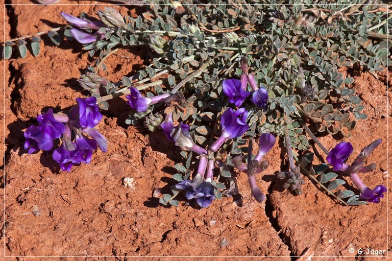 caprock_canyon_sp_094.jpg