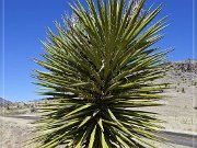 davis_mountains_scenic_loop_15