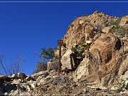 grapevine_hills_trail_006