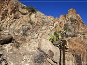 grapevine_hills_trail_007