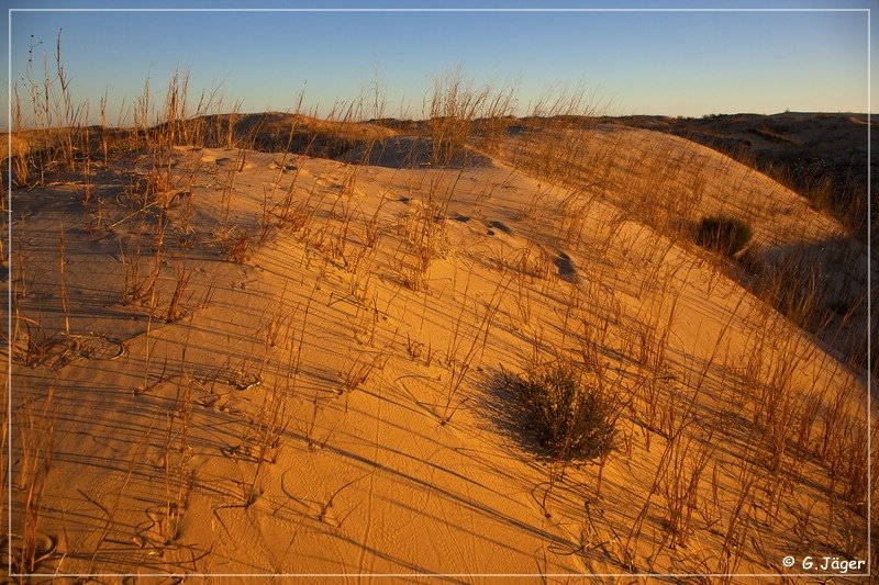 monahan_Sanddunes_sp_03.jpg