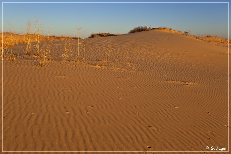 monahan_Sanddunes_sp_05.jpg