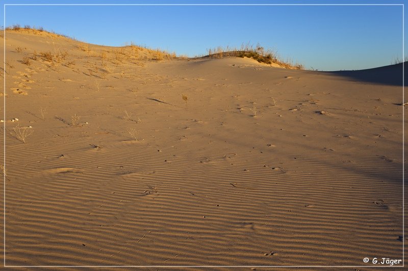 monahan_Sanddunes_sp_12.jpg