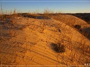 monahan_Sanddunes_sp_03