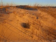 monahan_Sanddunes_sp_04