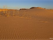 monahan_Sanddunes_sp_05