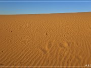 monahan_Sanddunes_sp_07