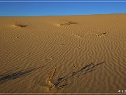 monahan_Sanddunes_sp_11