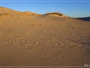 monahan_Sanddunes_sp_12