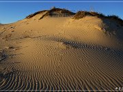 monahan_Sanddunes_sp_13