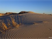 monahan_Sanddunes_sp_14