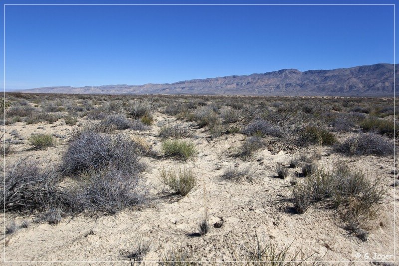 salt_basin_dunes_03.jpg