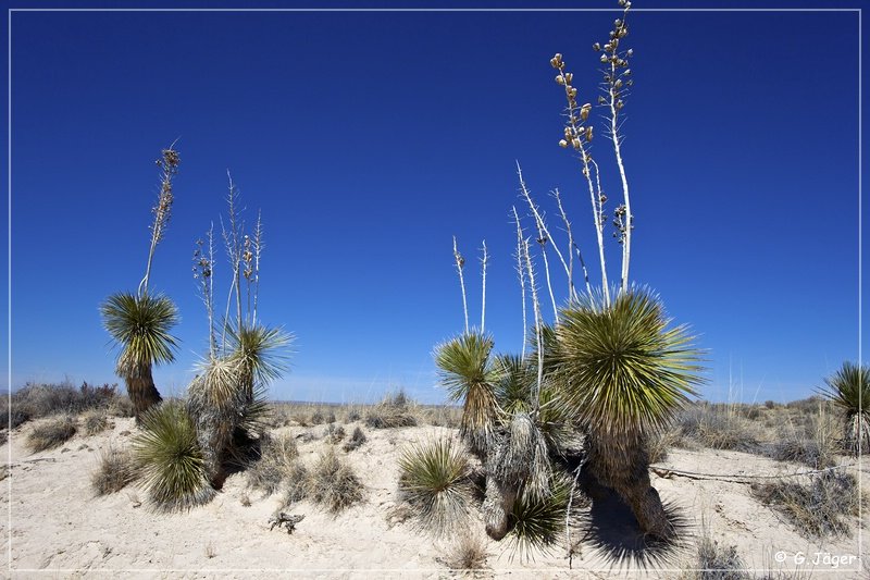 salt_basin_dunes_04.jpg