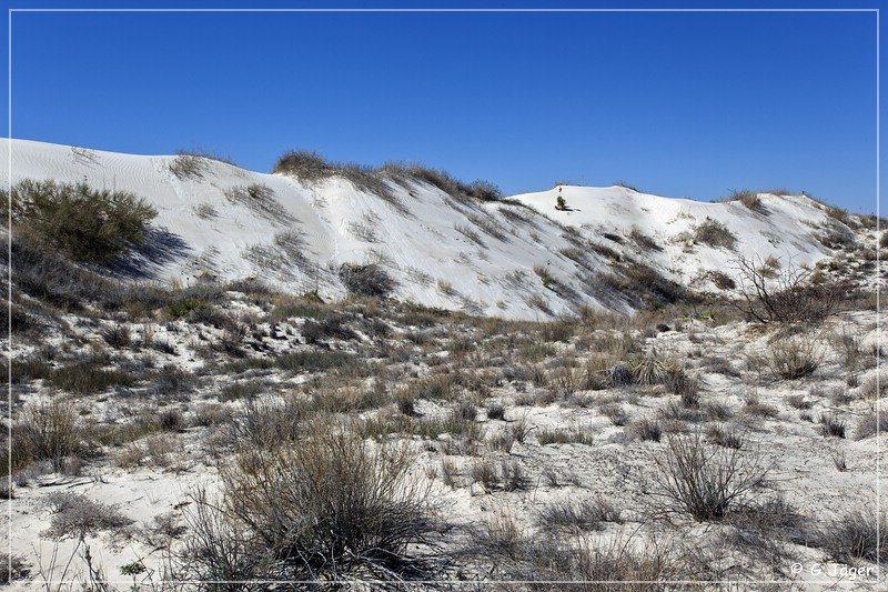 salt_basin_dunes_07.jpg