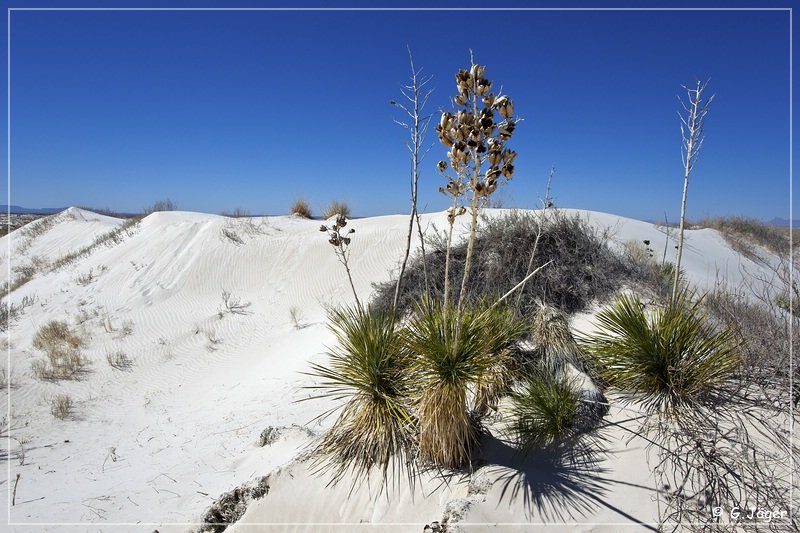 salt_basin_dunes_08.jpg