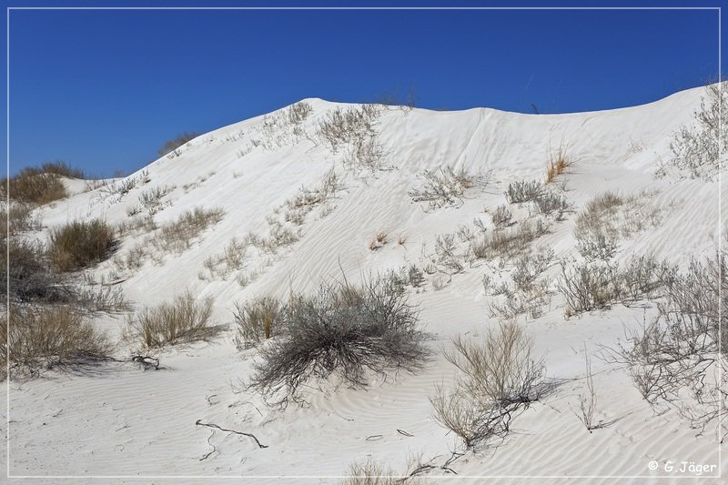 salt_basin_dunes_09.jpg