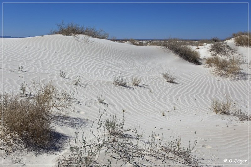 salt_basin_dunes_10.jpg