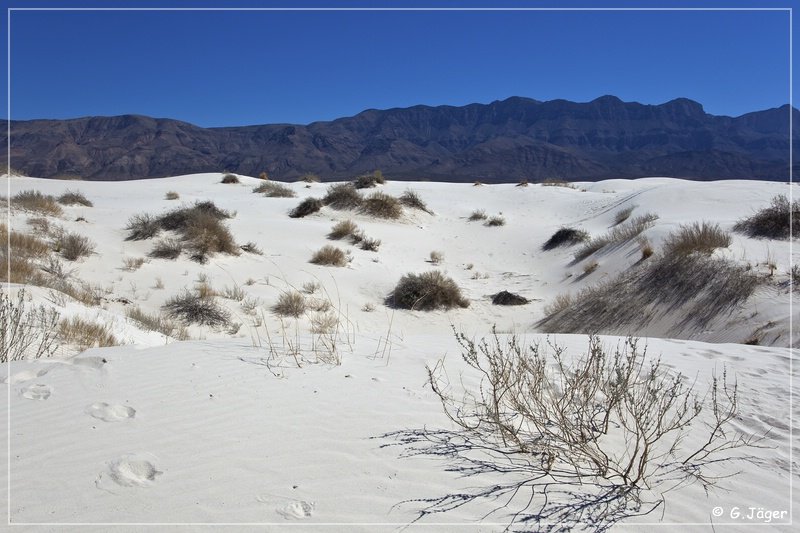 salt_basin_dunes_11.jpg