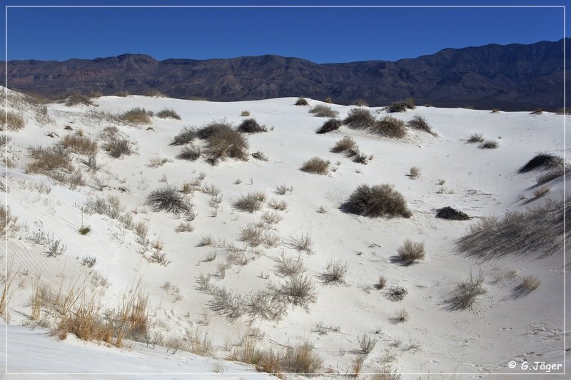 salt_basin_dunes_12.jpg