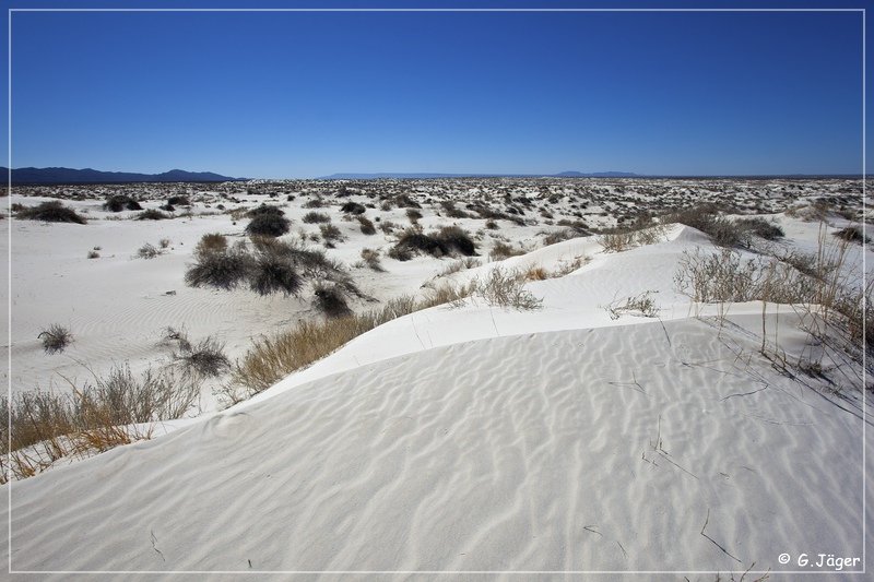 salt_basin_dunes_13.jpg