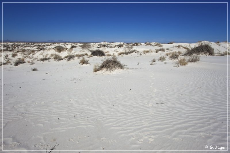 salt_basin_dunes_15.jpg