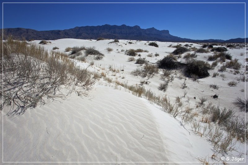 salt_basin_dunes_16.jpg