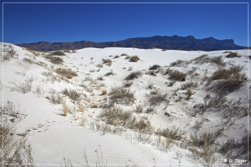 salt_basin_dunes_19.jpg