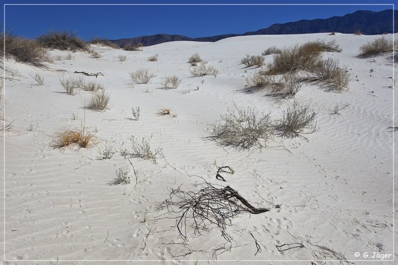 salt_basin_dunes_20.jpg