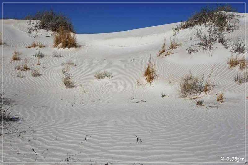 salt_basin_dunes_22.jpg