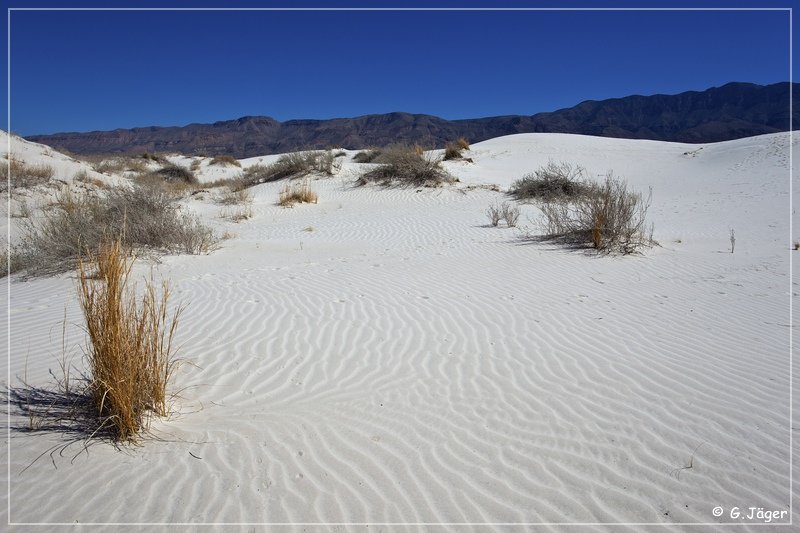 salt_basin_dunes_23.jpg