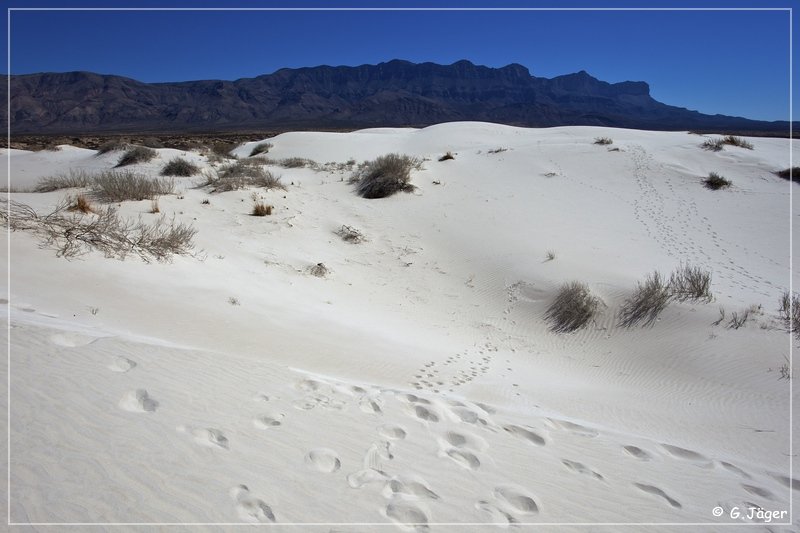 salt_basin_dunes_26.jpg