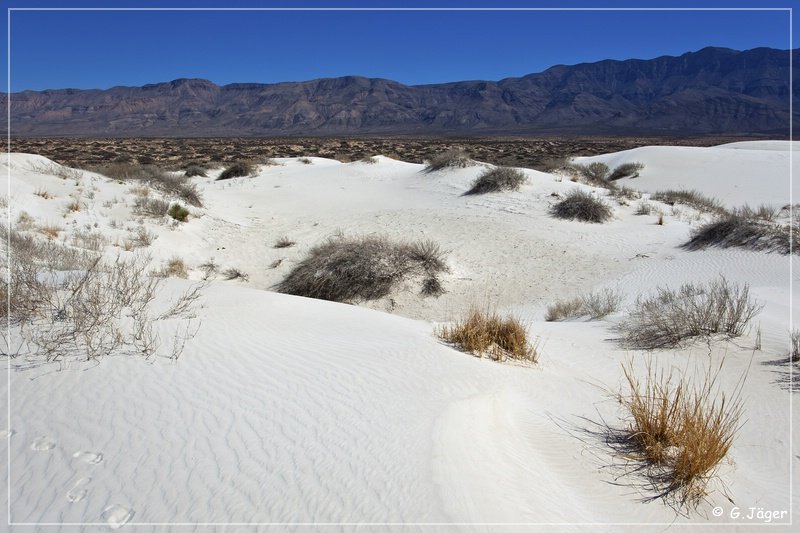 salt_basin_dunes_27.jpg