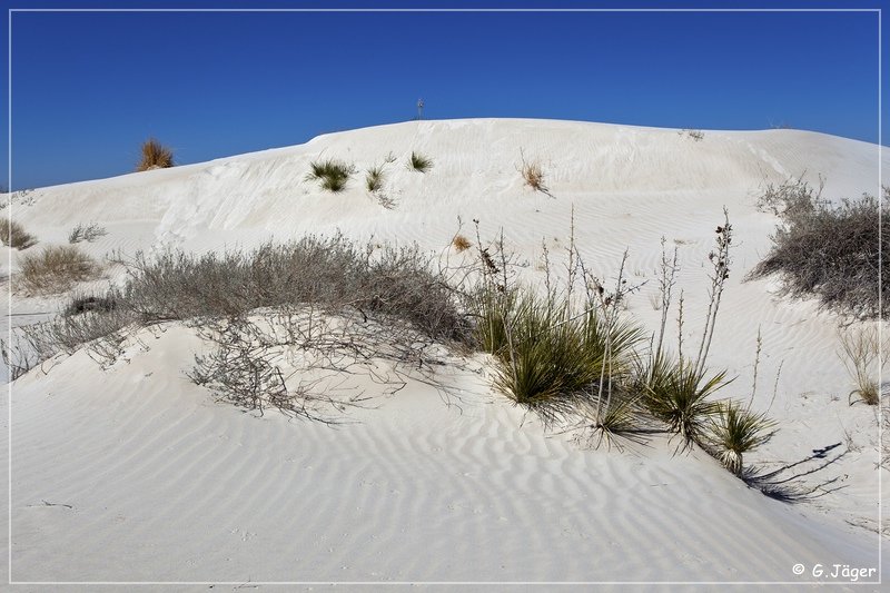 salt_basin_dunes_33.jpg