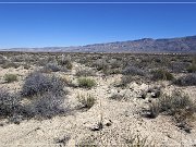 salt_basin_dunes_03