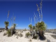 salt_basin_dunes_04