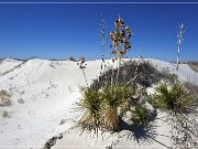 salt_basin_dunes_08