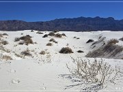 salt_basin_dunes_11