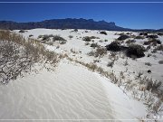 Salt Basin Dunes
