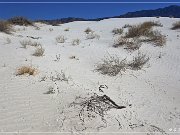 salt_basin_dunes_20